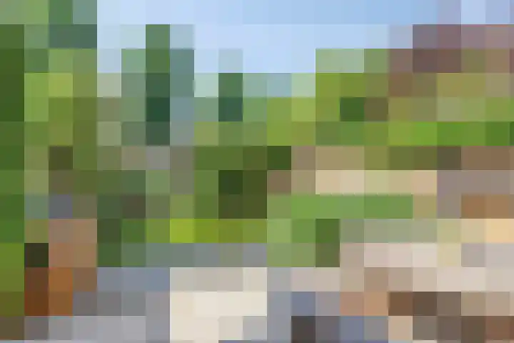 Sibeliusweg 72 Capelle aan den IJssel thumbnail 4
