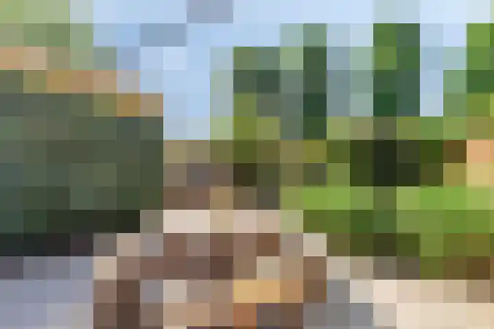 Sibeliusweg 72 Capelle aan den IJssel thumbnail 5