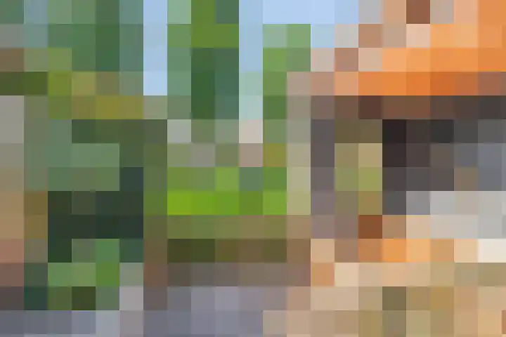Sibeliusweg 72 Capelle aan den IJssel thumbnail 6
