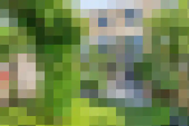 Sibeliusweg 72 Capelle aan den IJssel thumbnail 8