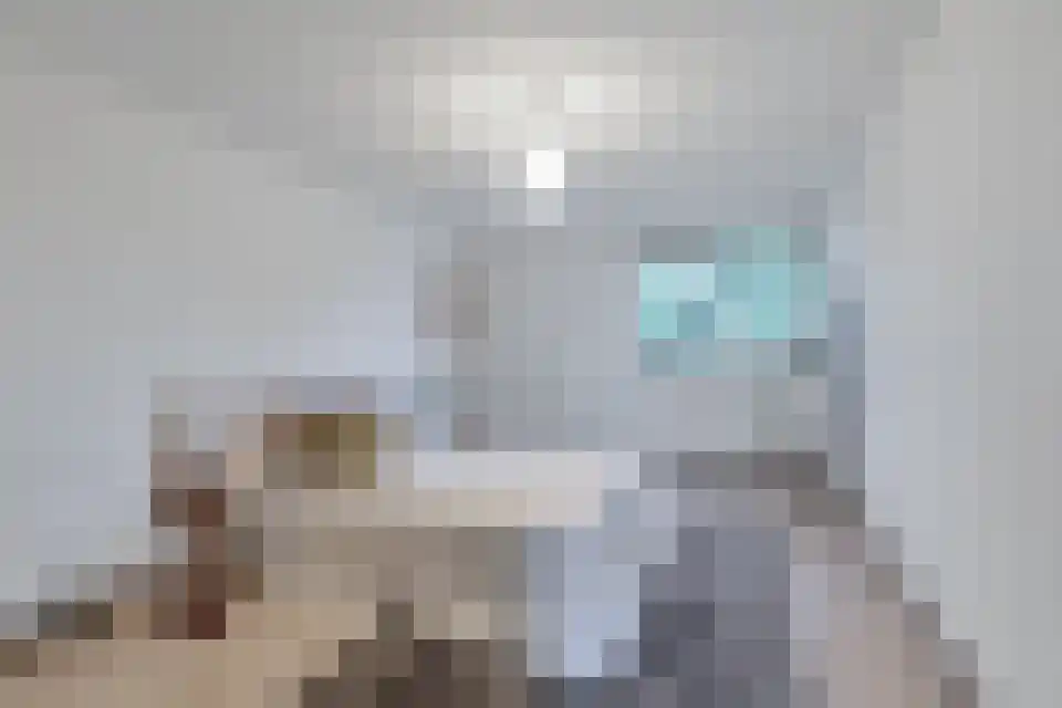 Sibemaweg 85 Maastricht thumbnail 11