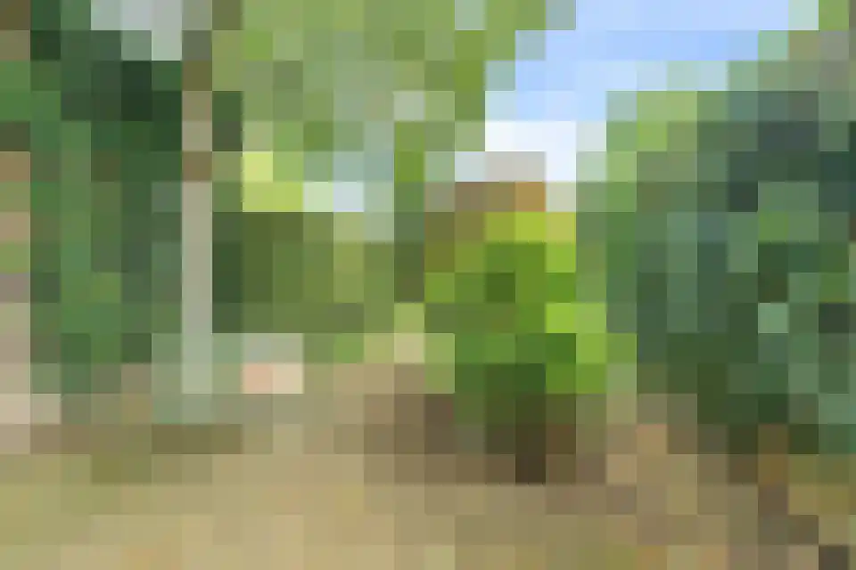 Sibemaweg 85 Maastricht thumbnail 5