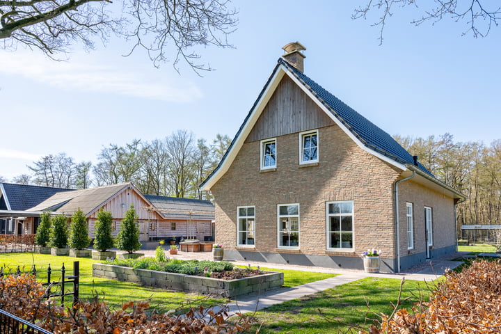 Siberië 48 dans Stuifzand photo