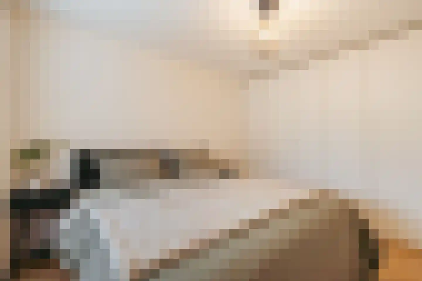 Sibogastraat 38 Amsterdam thumbnail 13