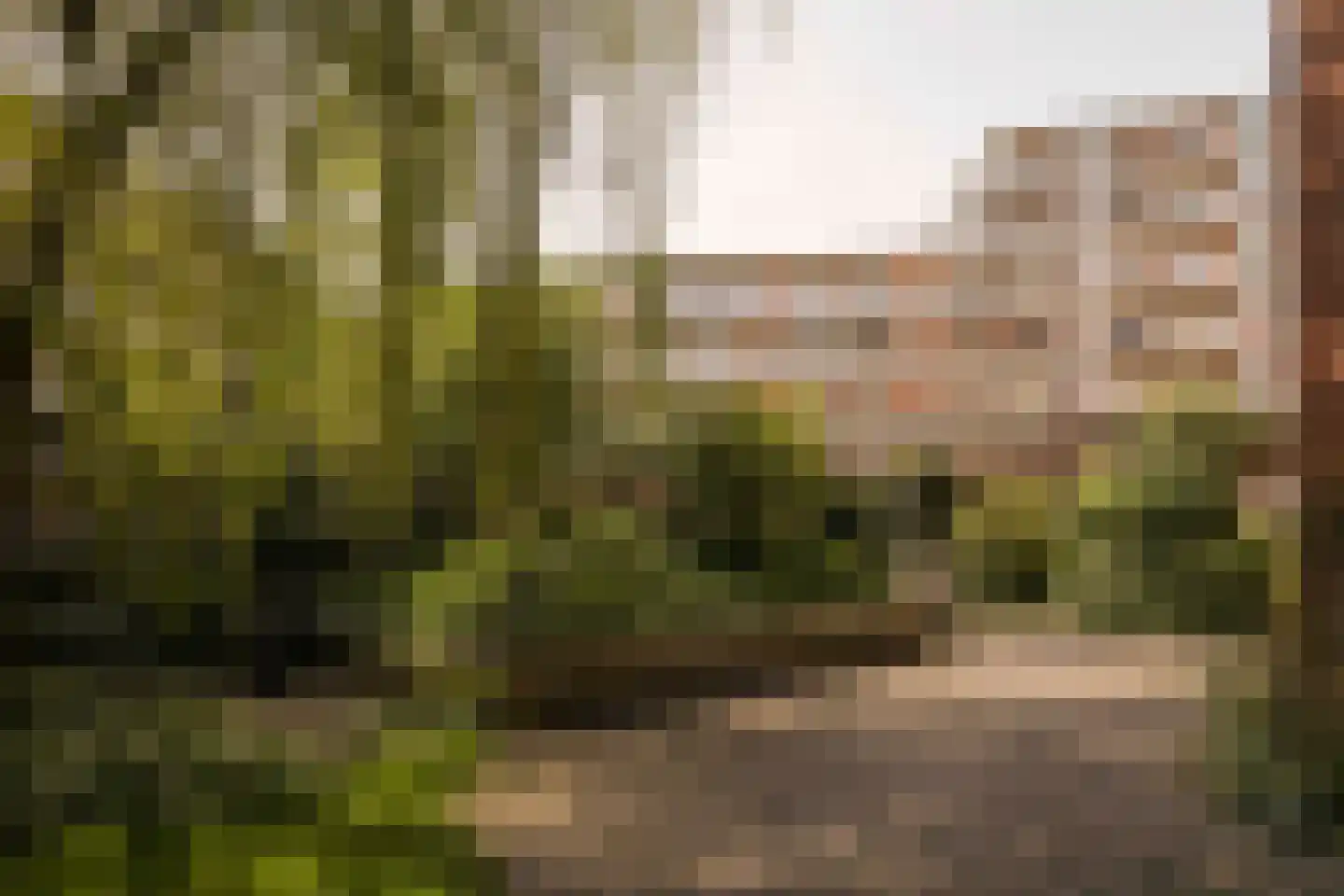 Sibogastraat 38 Amsterdam thumbnail 18