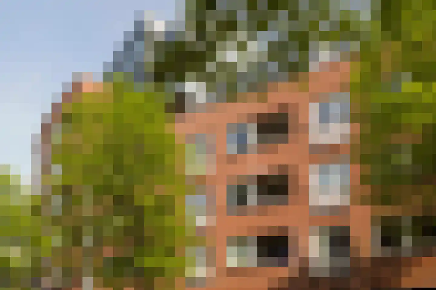 Sibogastraat 38 Amsterdam thumbnail 4