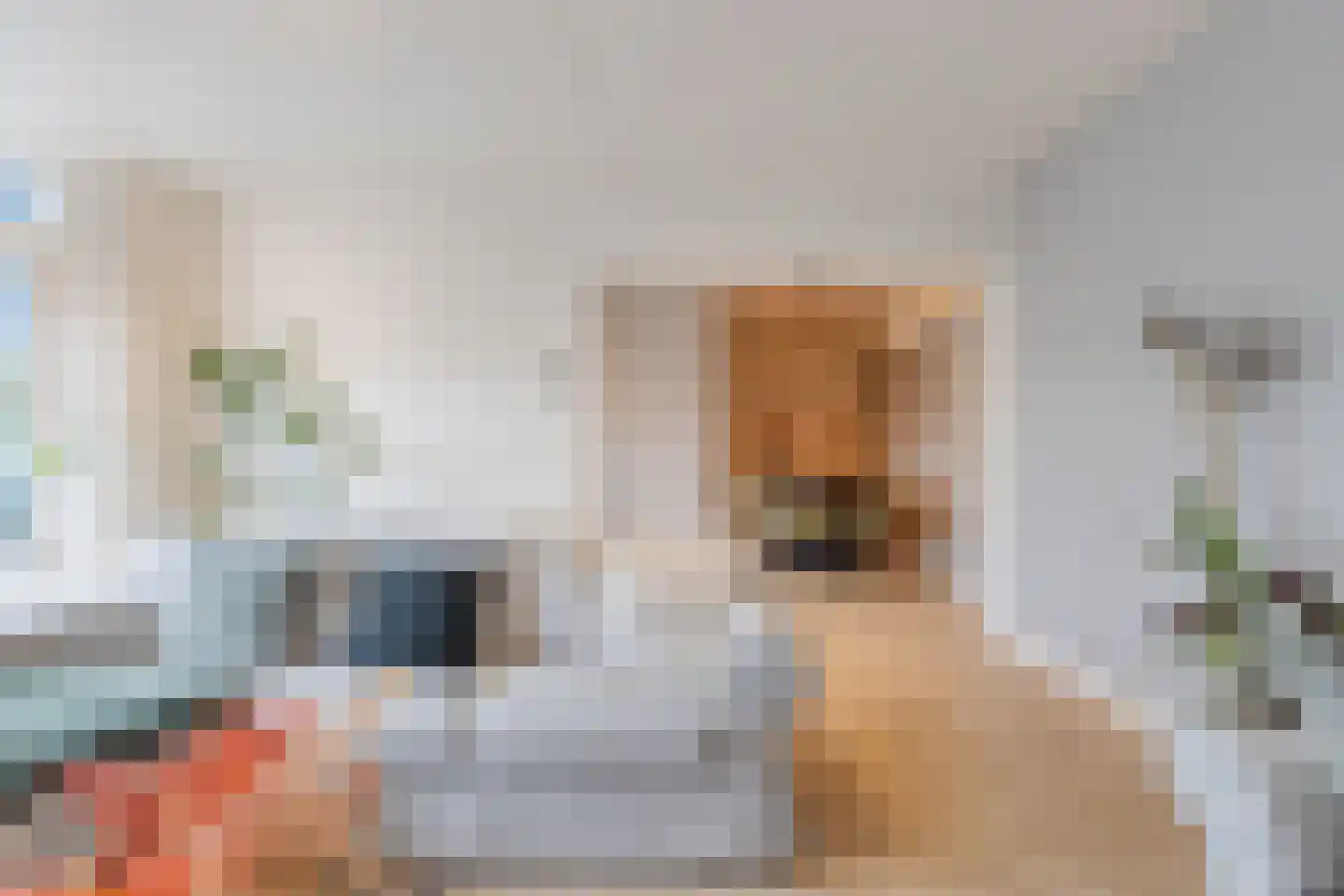 Sibogastraat 93 Amsterdam thumbnail 9