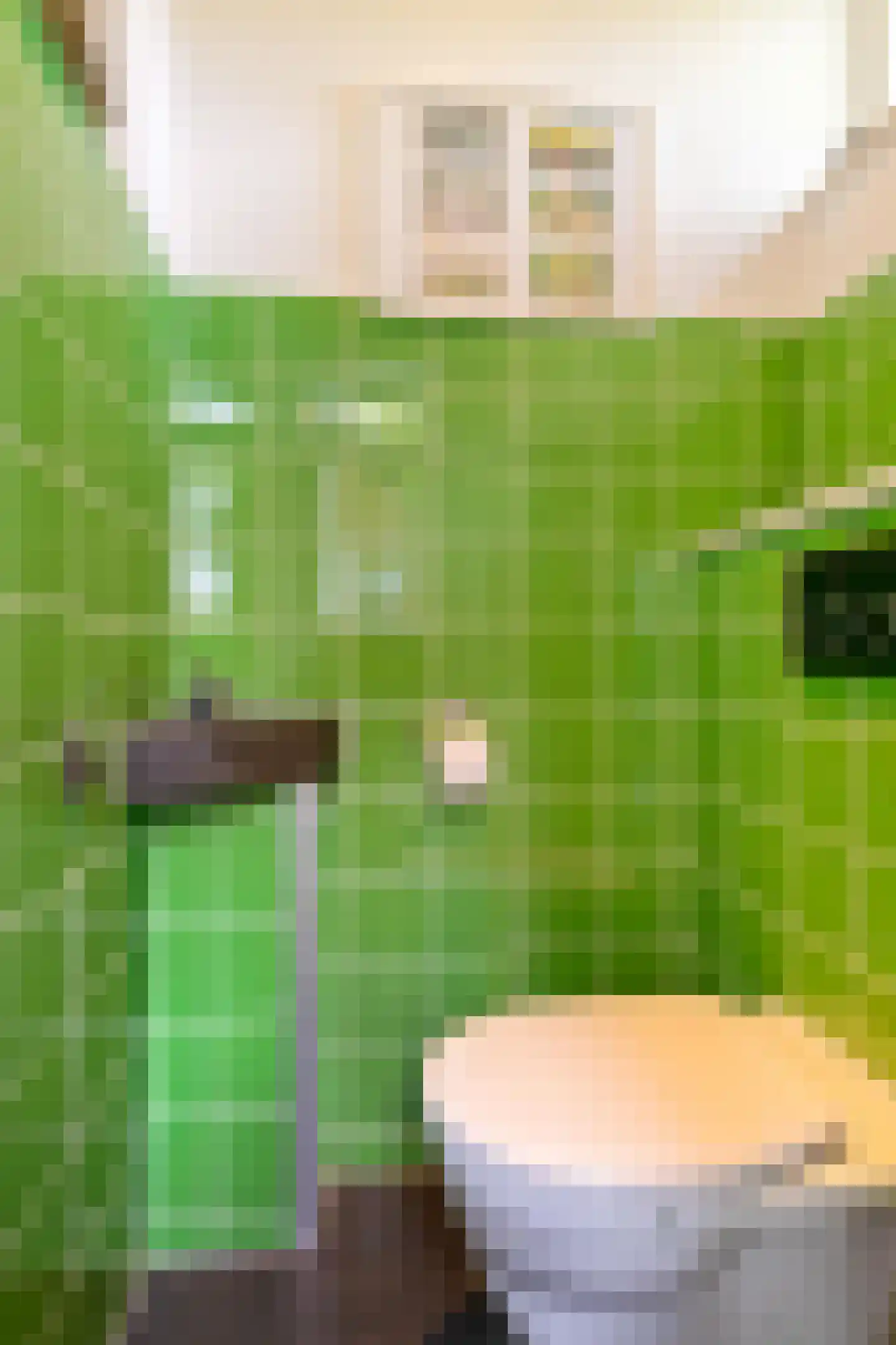 Sibrandaheerd 146 Groningen thumbnail 12