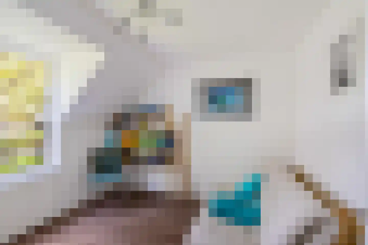 Sibrandaheerd 146 Groningen thumbnail 15