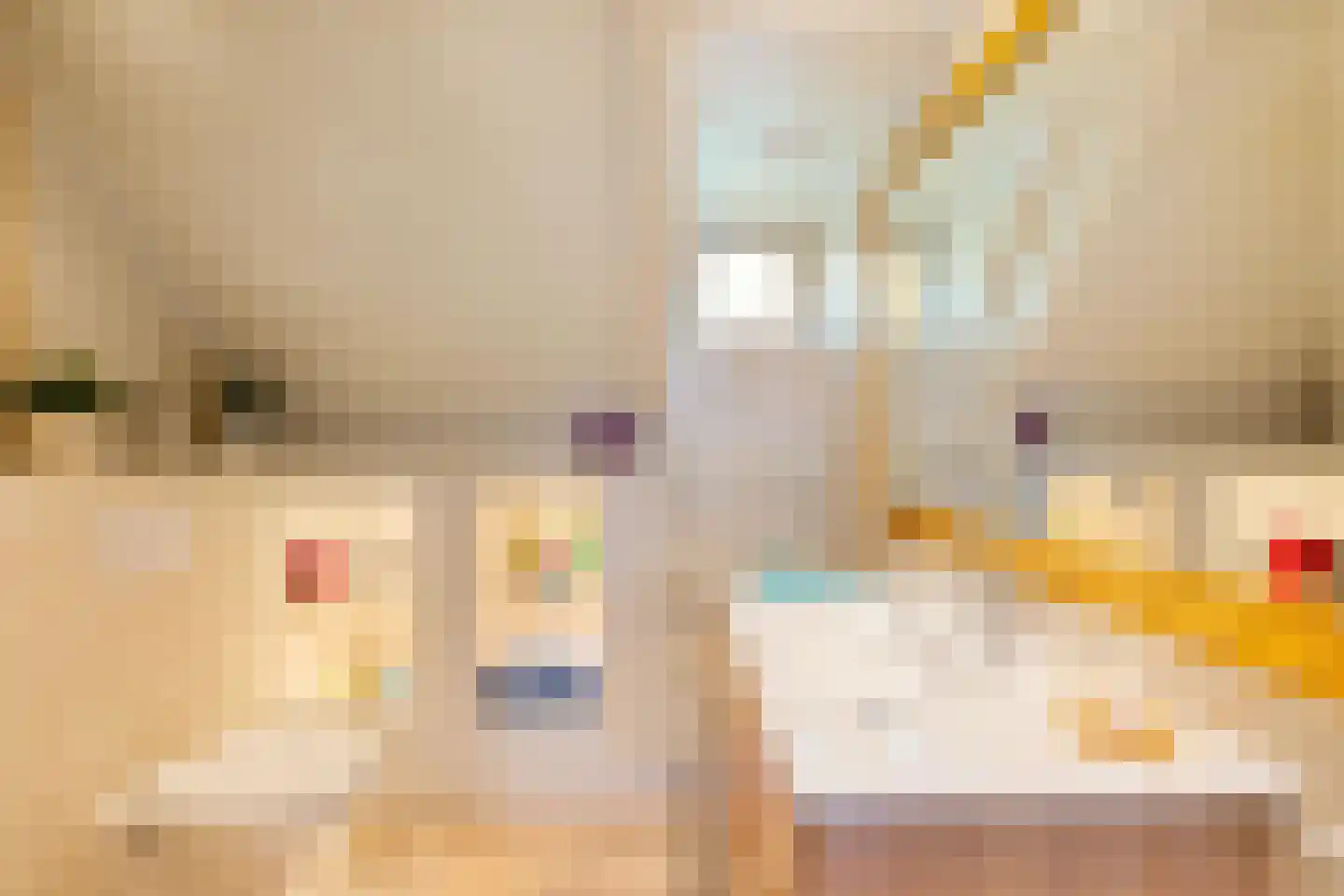 Sibrandaheerd 146 Groningen thumbnail 19