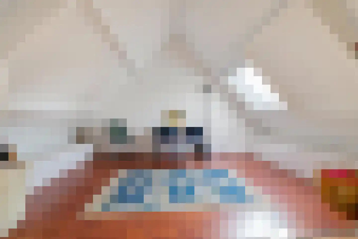 Sibrandaheerd 146 Groningen thumbnail 22