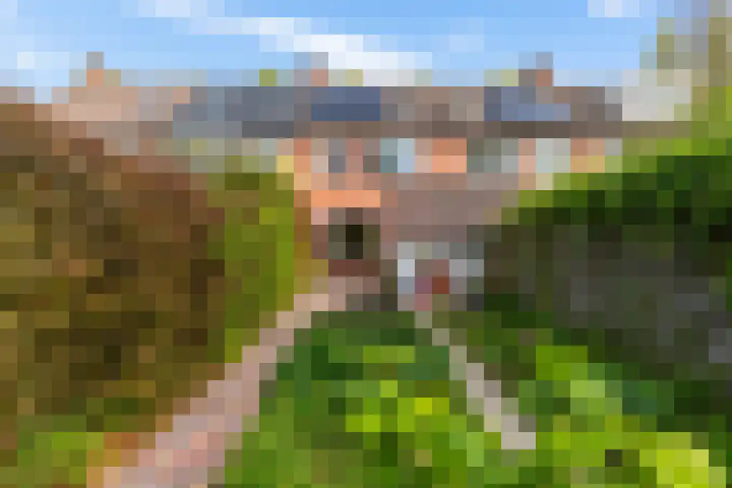 Sibrandaheerd 146 Groningen thumbnail 25
