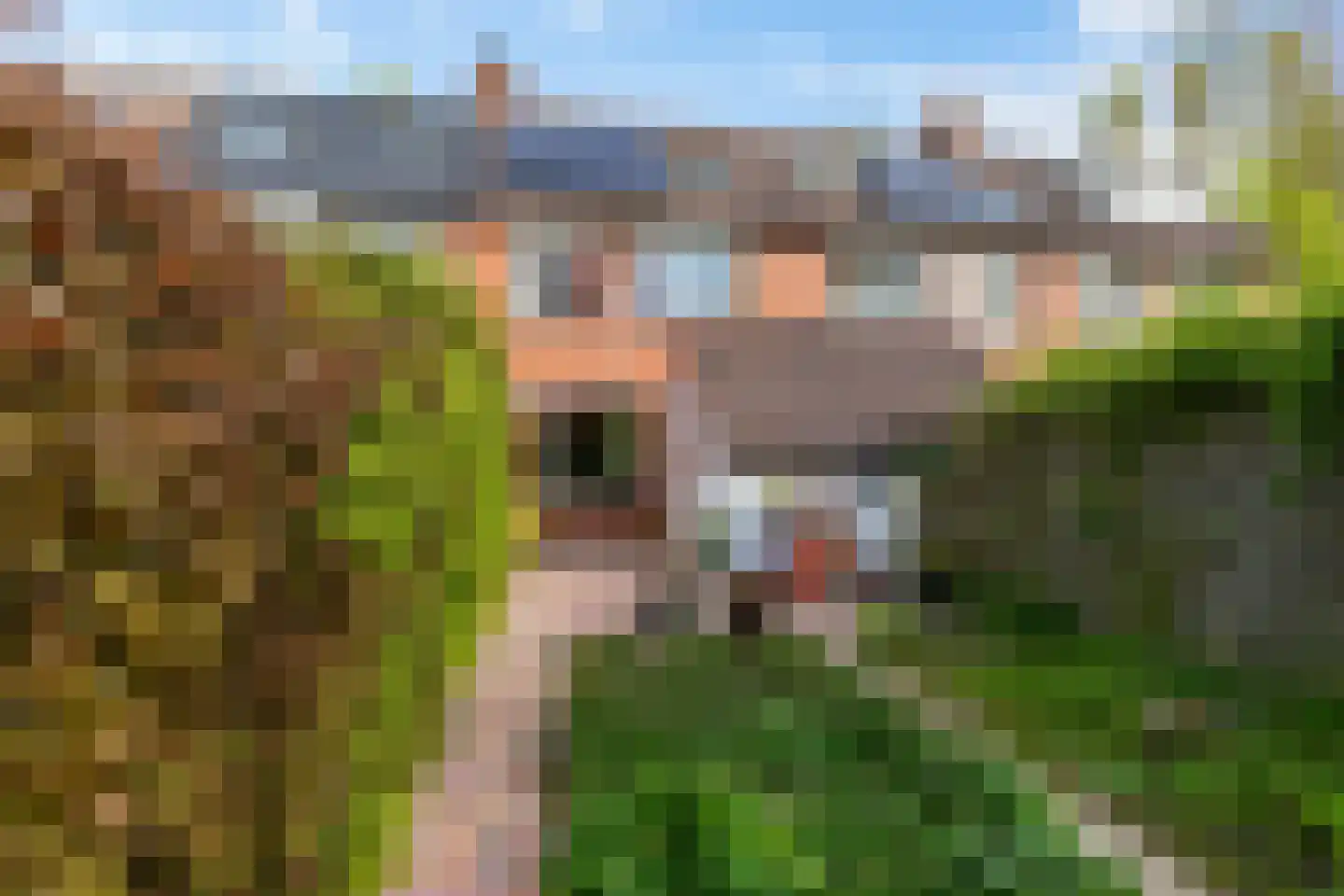 Sibrandaheerd 146 Groningen thumbnail 26