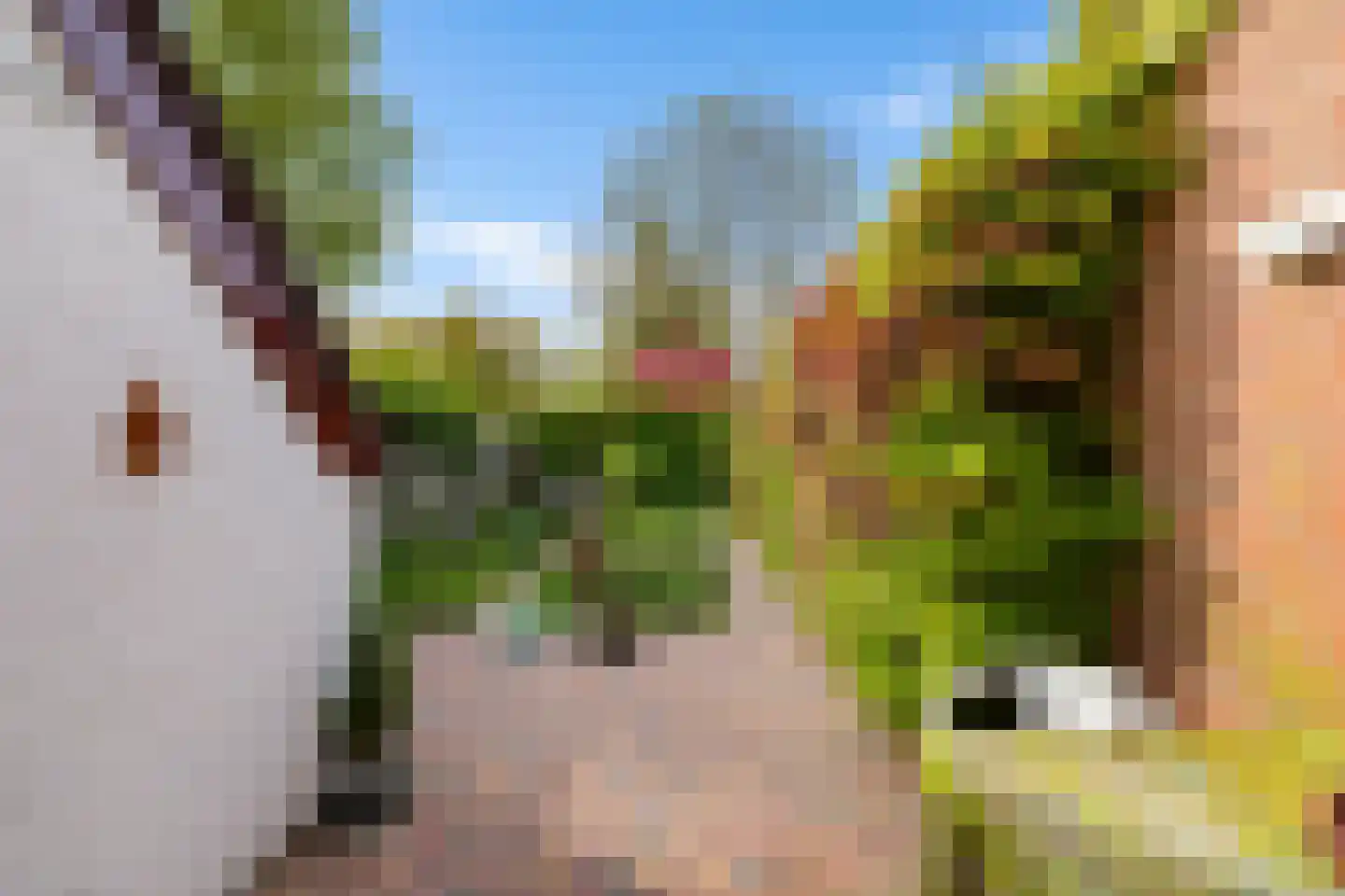 Sibrandaheerd 146 Groningen thumbnail 27