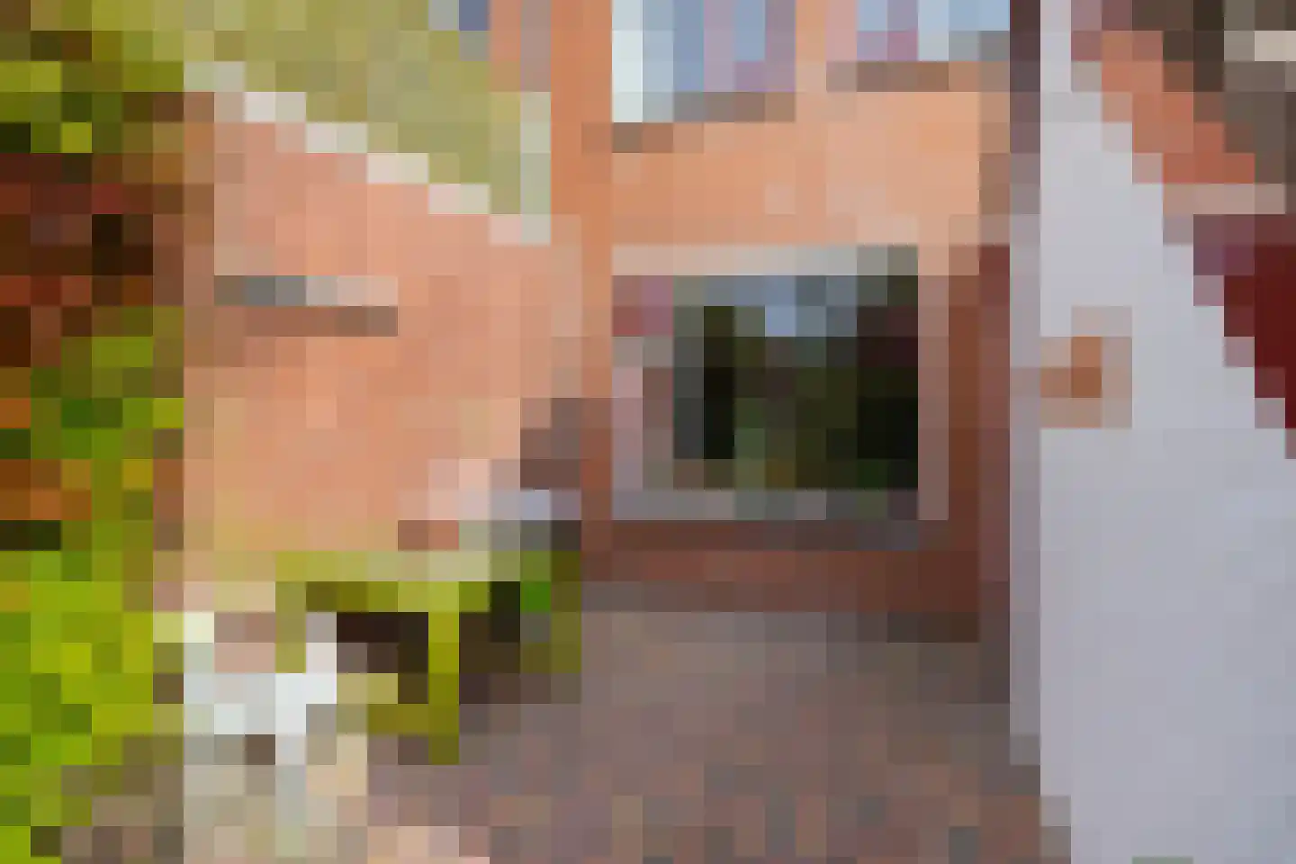 Sibrandaheerd 146 Groningen thumbnail 29