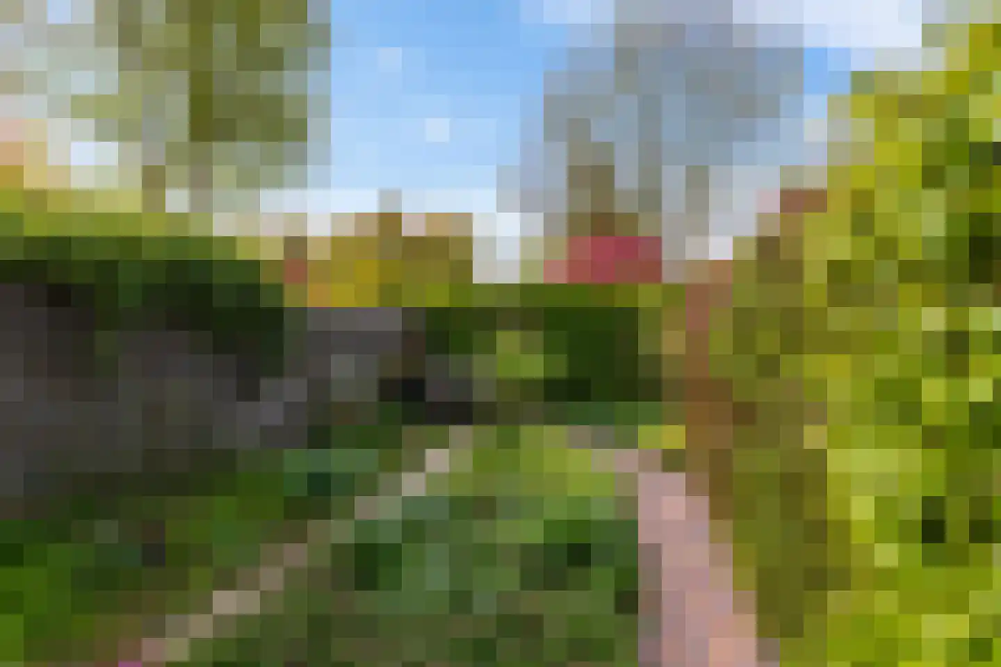 Sibrandaheerd 146 Groningen thumbnail 30