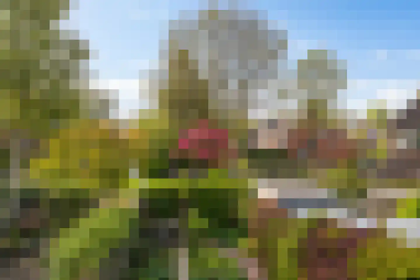 Sibrandaheerd 146 Groningen thumbnail 31