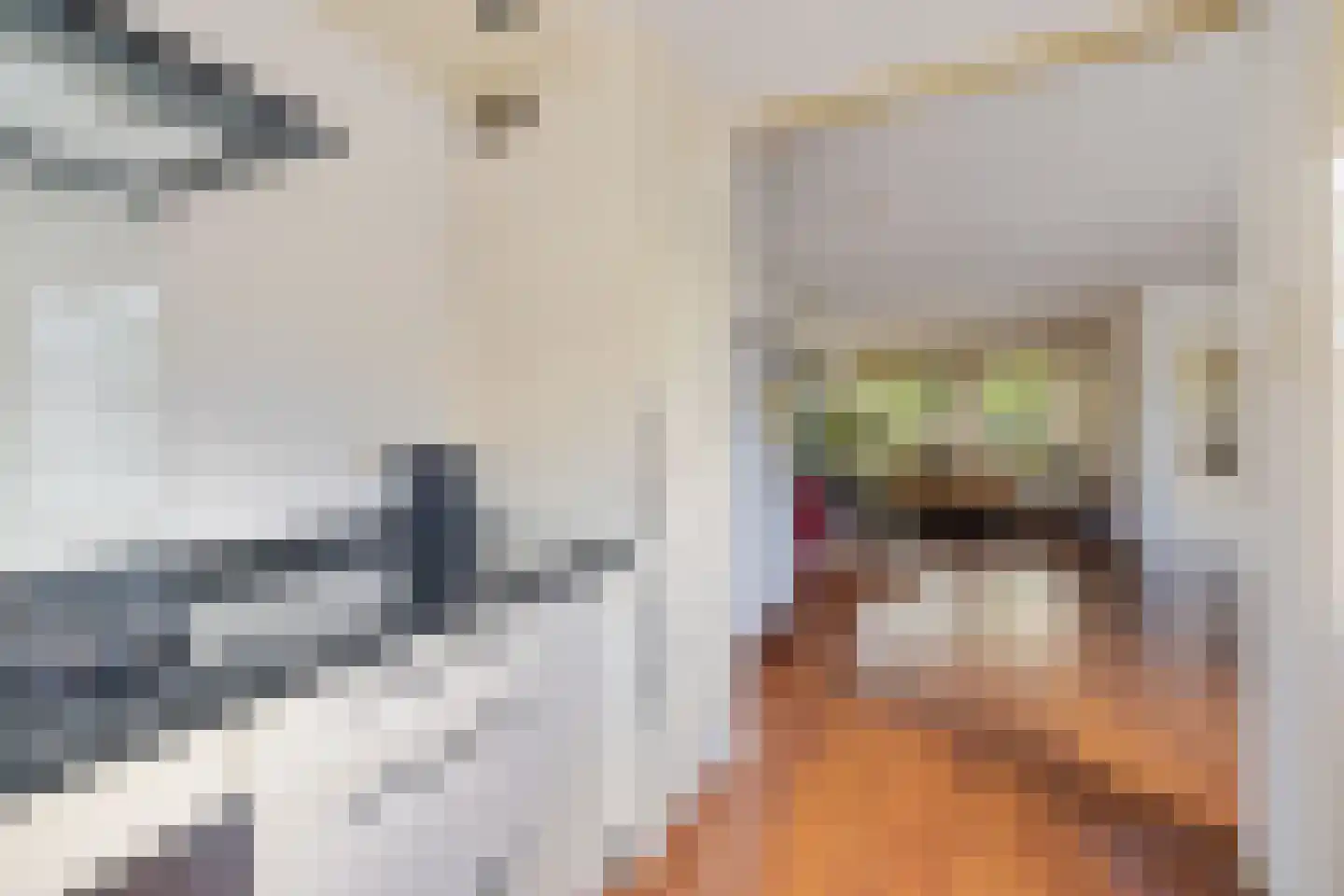 Sibrandaheerd 21 Groningen thumbnail 15