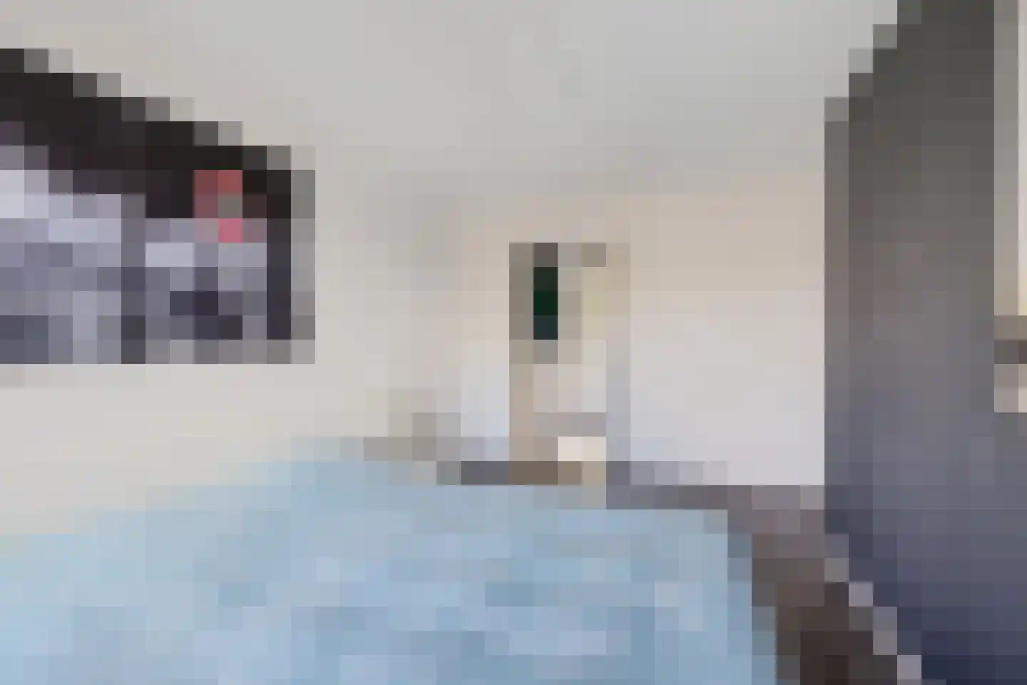 Sibrandaheerd 21 Groningen thumbnail 19