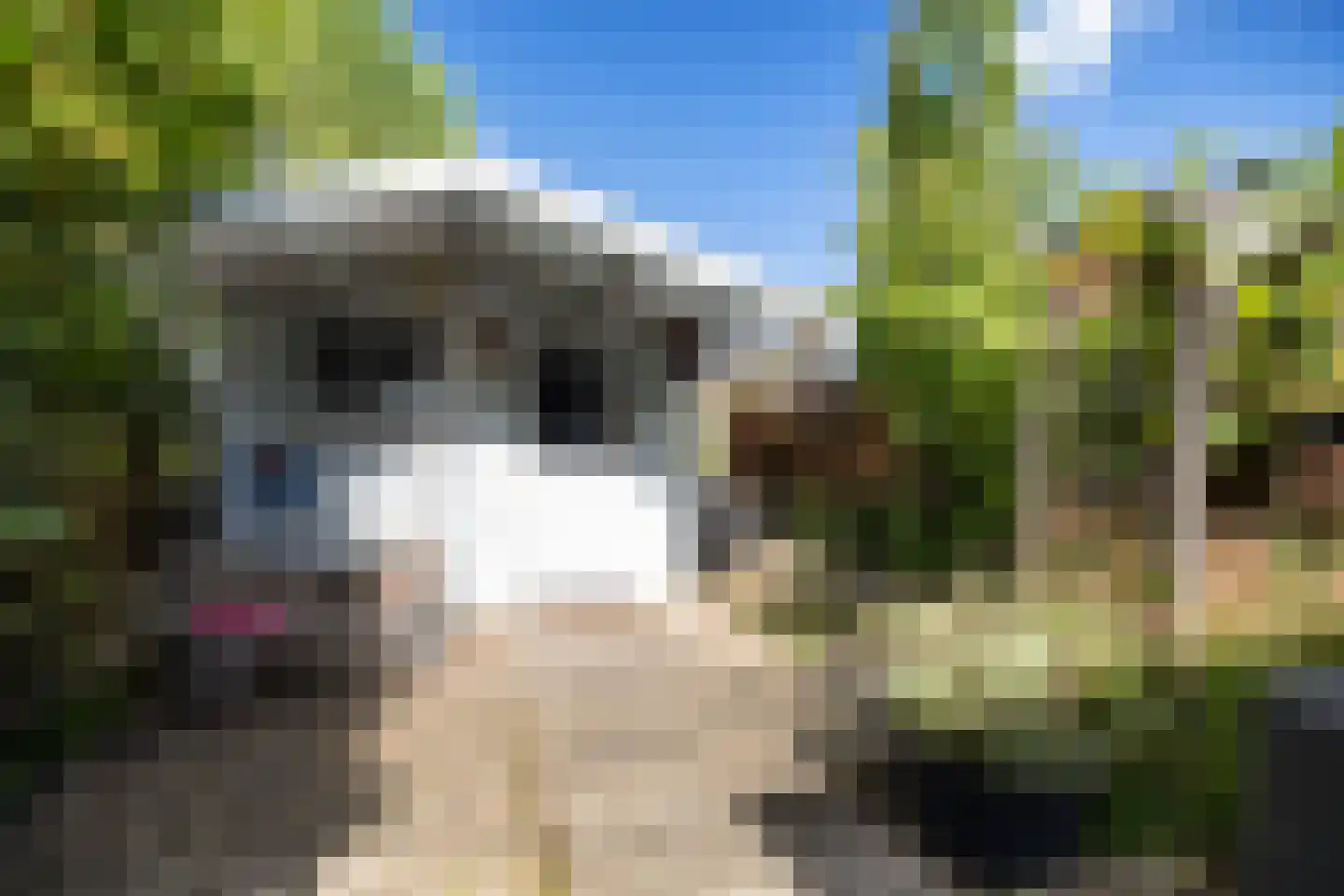 Sibrandaheerd 21 Groningen thumbnail 32
