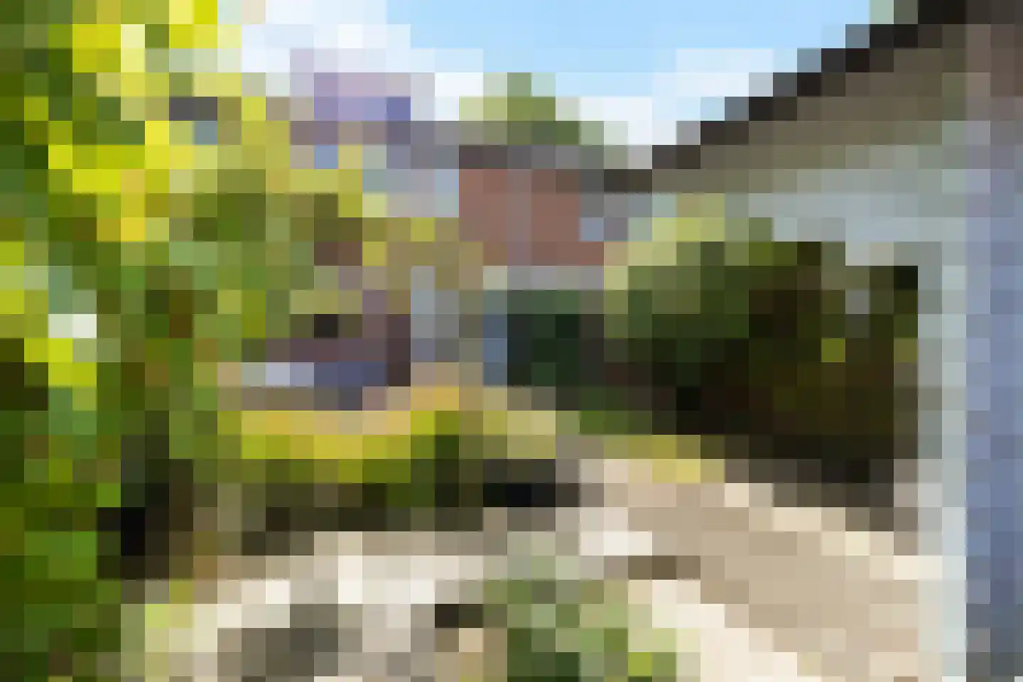 Sibrandaheerd 21 Groningen thumbnail 33