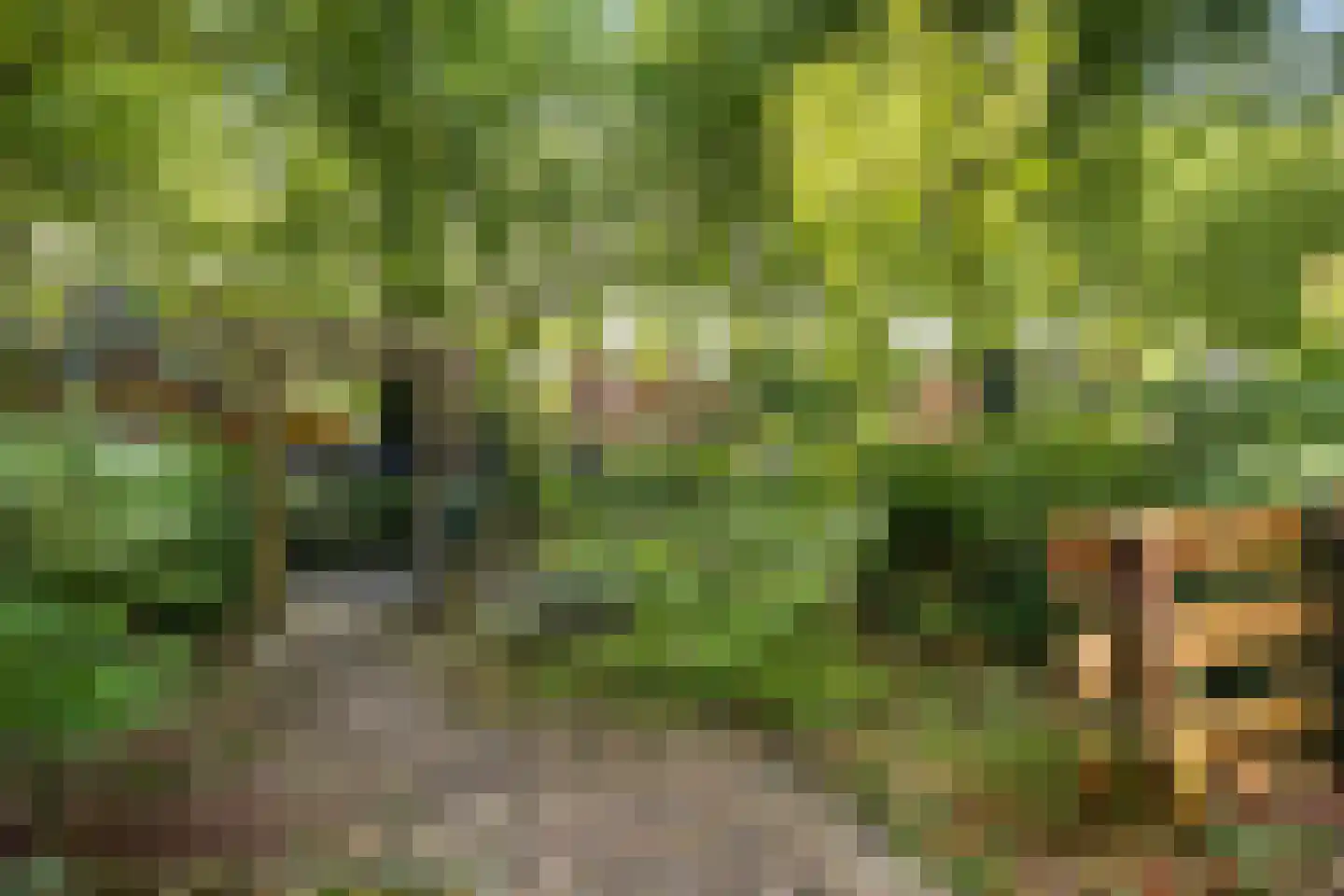 Sibrandaheerd 21 Groningen thumbnail 35