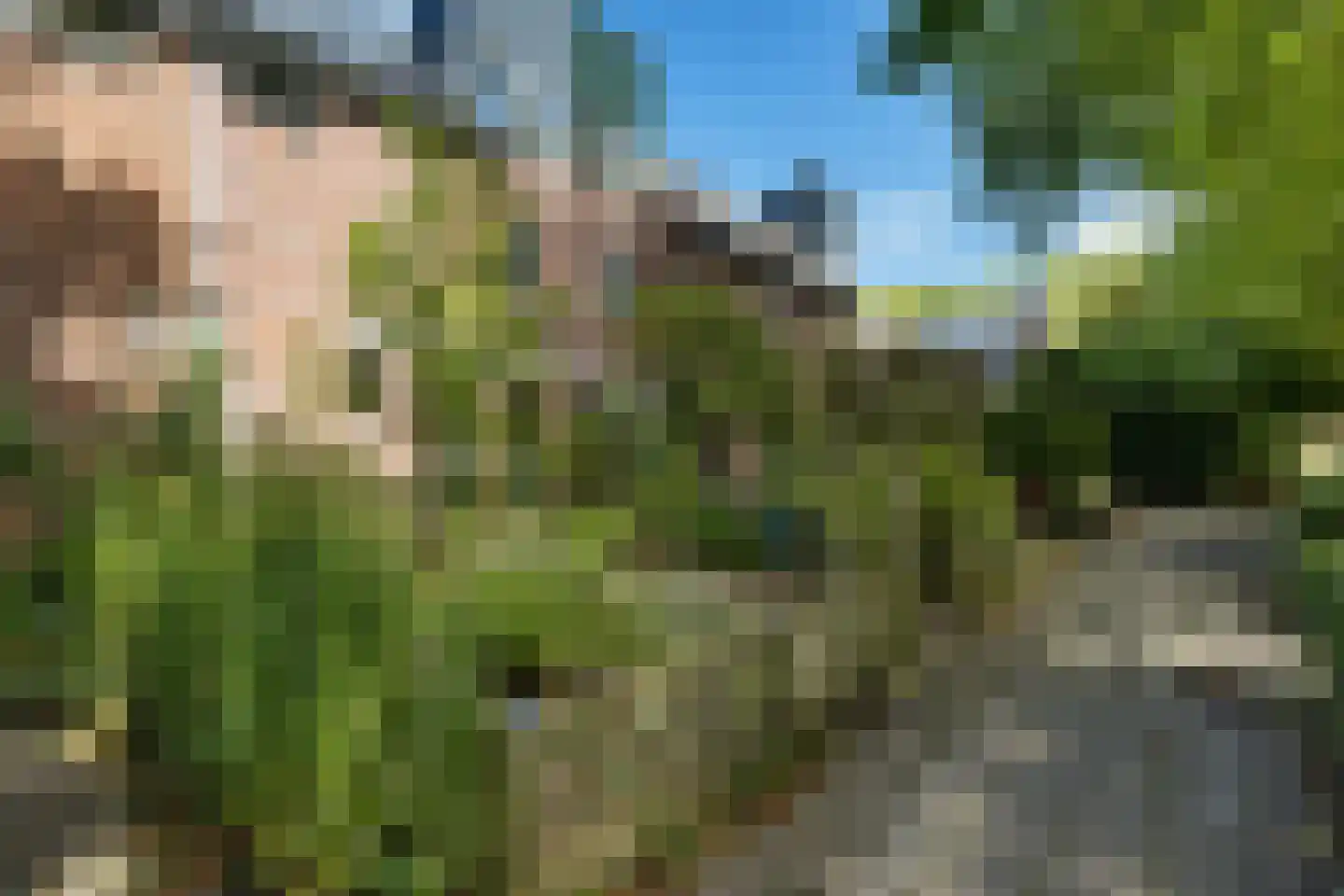 Sibrandaheerd 21 Groningen thumbnail 36