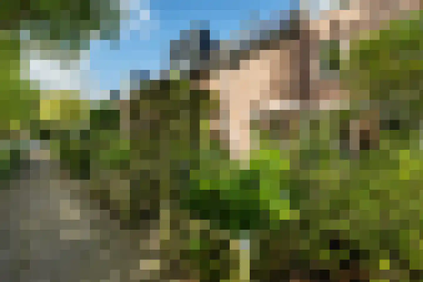 Sibrandaheerd 21 Groningen thumbnail 37
