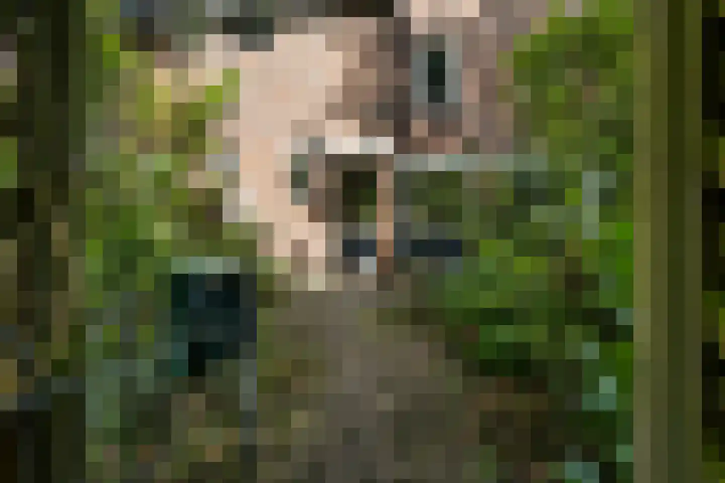Sibrandaheerd 21 Groningen thumbnail 6