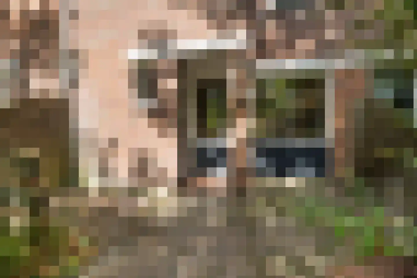 Sibrandaheerd 21 Groningen thumbnail 7