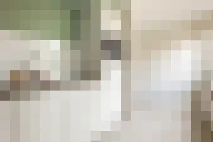 Sibrandaheerd 33 Groningen thumbnail 13