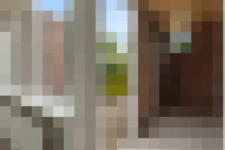 Sibrandaheerd 33 Groningen thumbnail 15