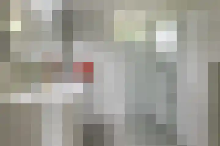 Sibrandaheerd 33 Groningen thumbnail 16