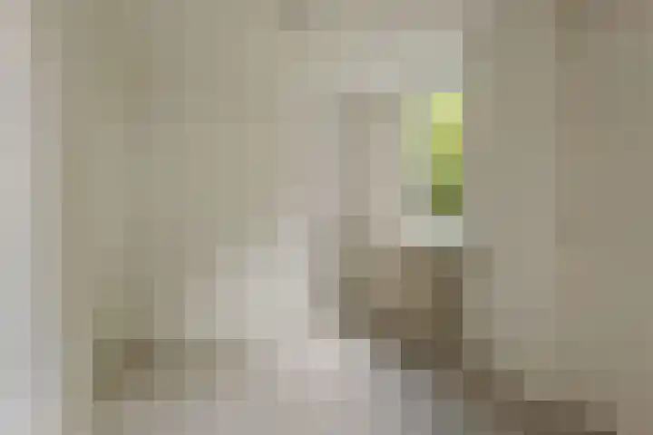 Sibrandaheerd 33 Groningen thumbnail 17