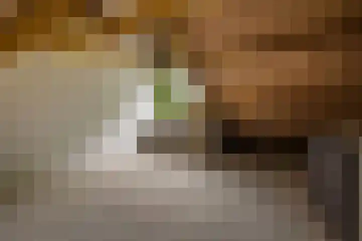 Sibrandaheerd 33 Groningen thumbnail 20