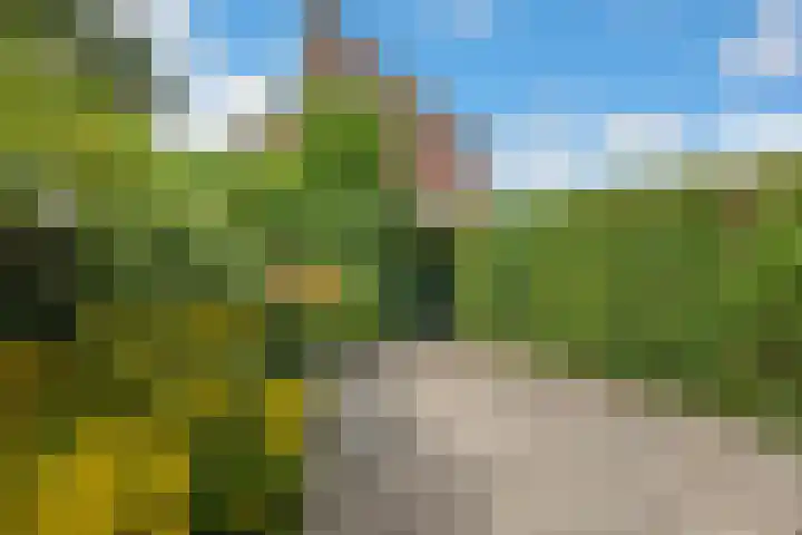 Sibrandaheerd 33 Groningen thumbnail 23