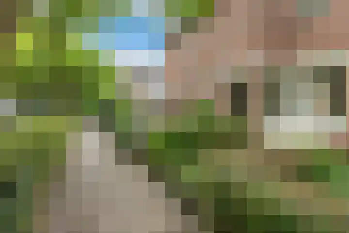 Sibrandaheerd 33 Groningen thumbnail 27