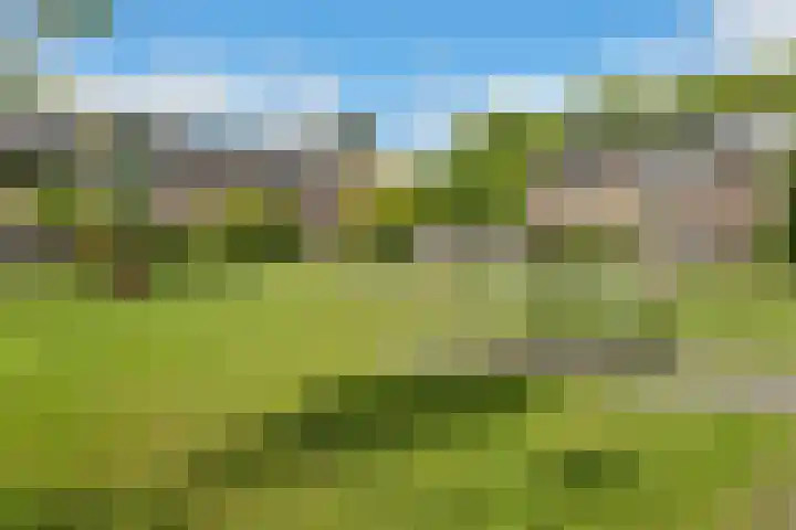 Sibrandaheerd 33 Groningen thumbnail 28
