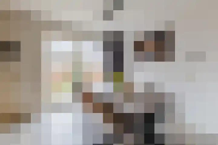 Sibrandaheerd 56 Groningen thumbnail 10