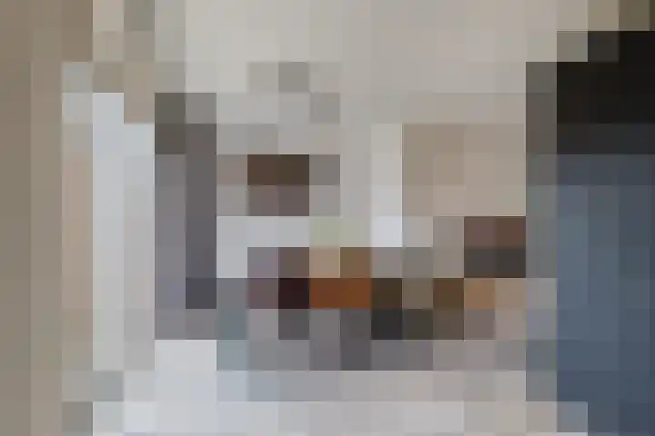 Sibrandaheerd 56 Groningen thumbnail 11