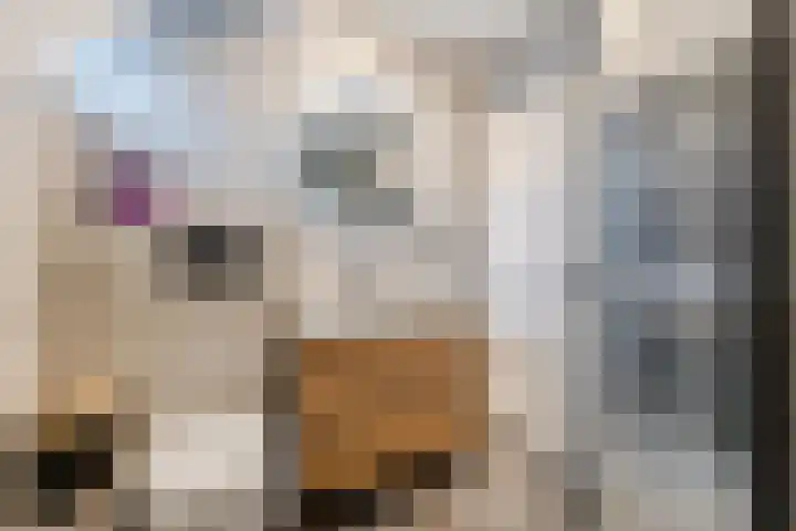 Sibrandaheerd 56 Groningen thumbnail 21