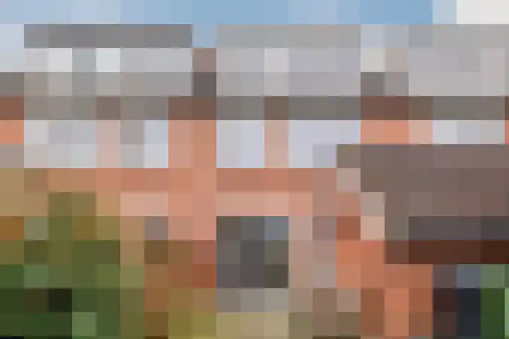 Sibrandaheerd 56 Groningen thumbnail 25