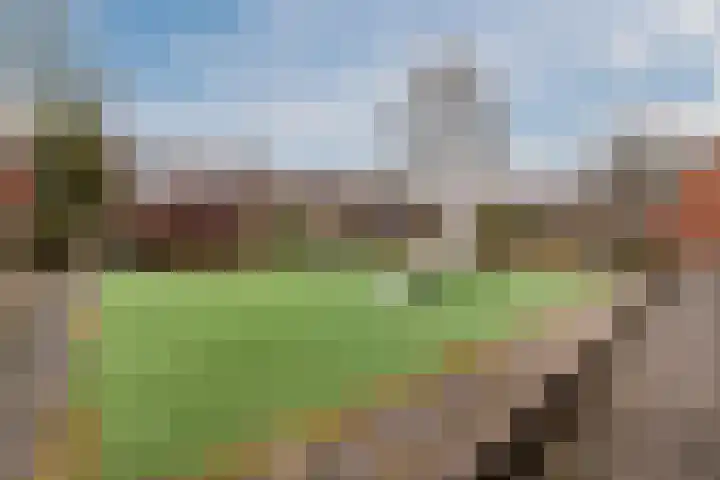 Sibrandaheerd 56 Groningen thumbnail 27