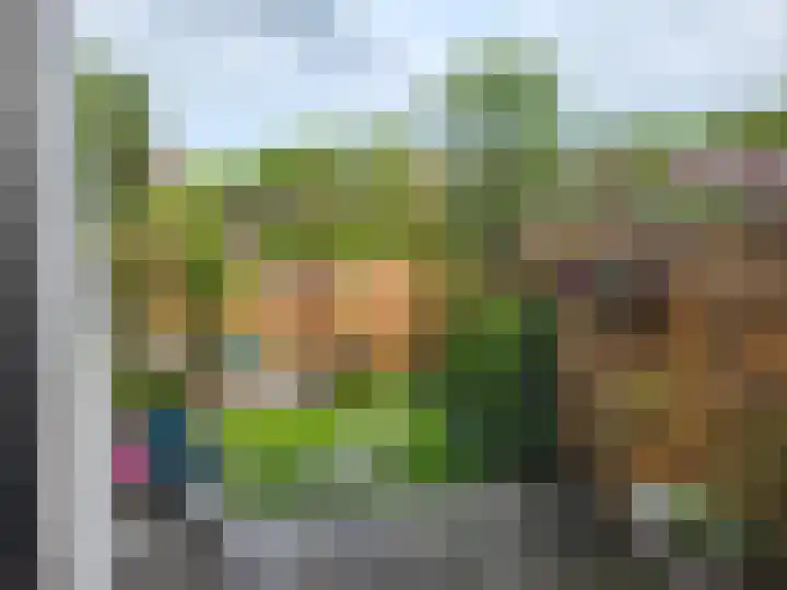 Sibrandaheerd 56 Groningen thumbnail 5