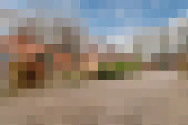Sibrandaheerd 56 Groningen thumbnail 6