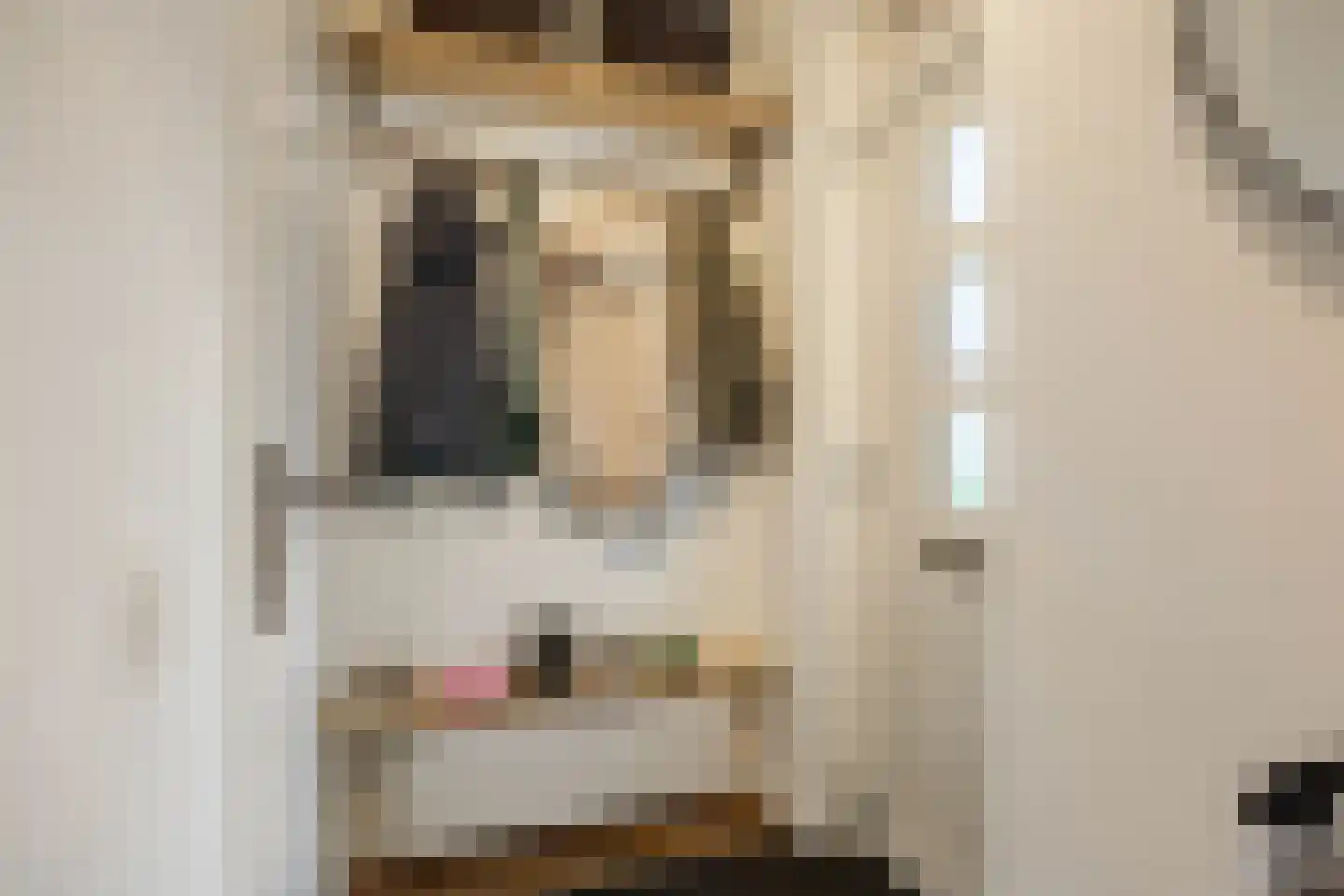 Sibrandaheerd 60 Groningen thumbnail 10