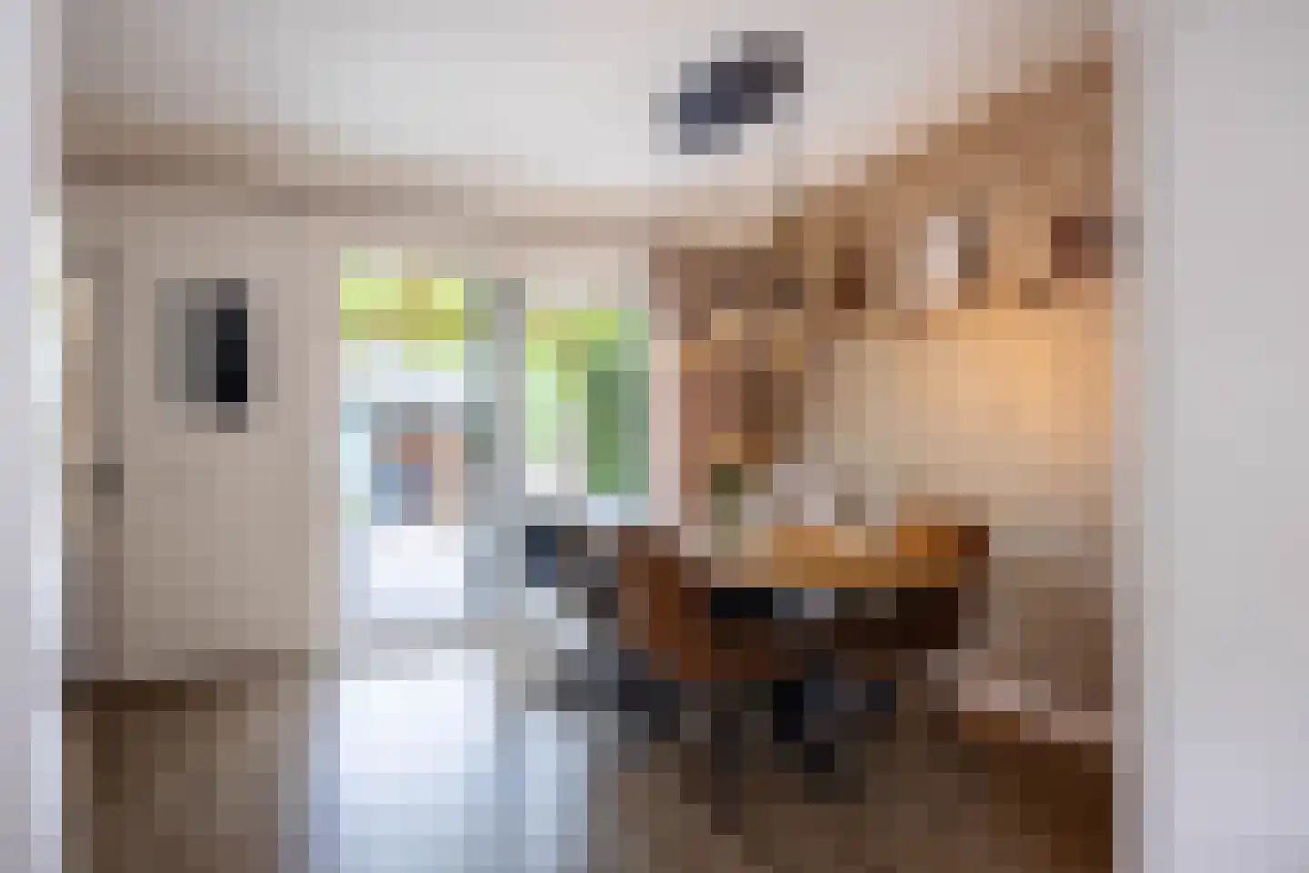 Sibrandaheerd 60 Groningen thumbnail 16