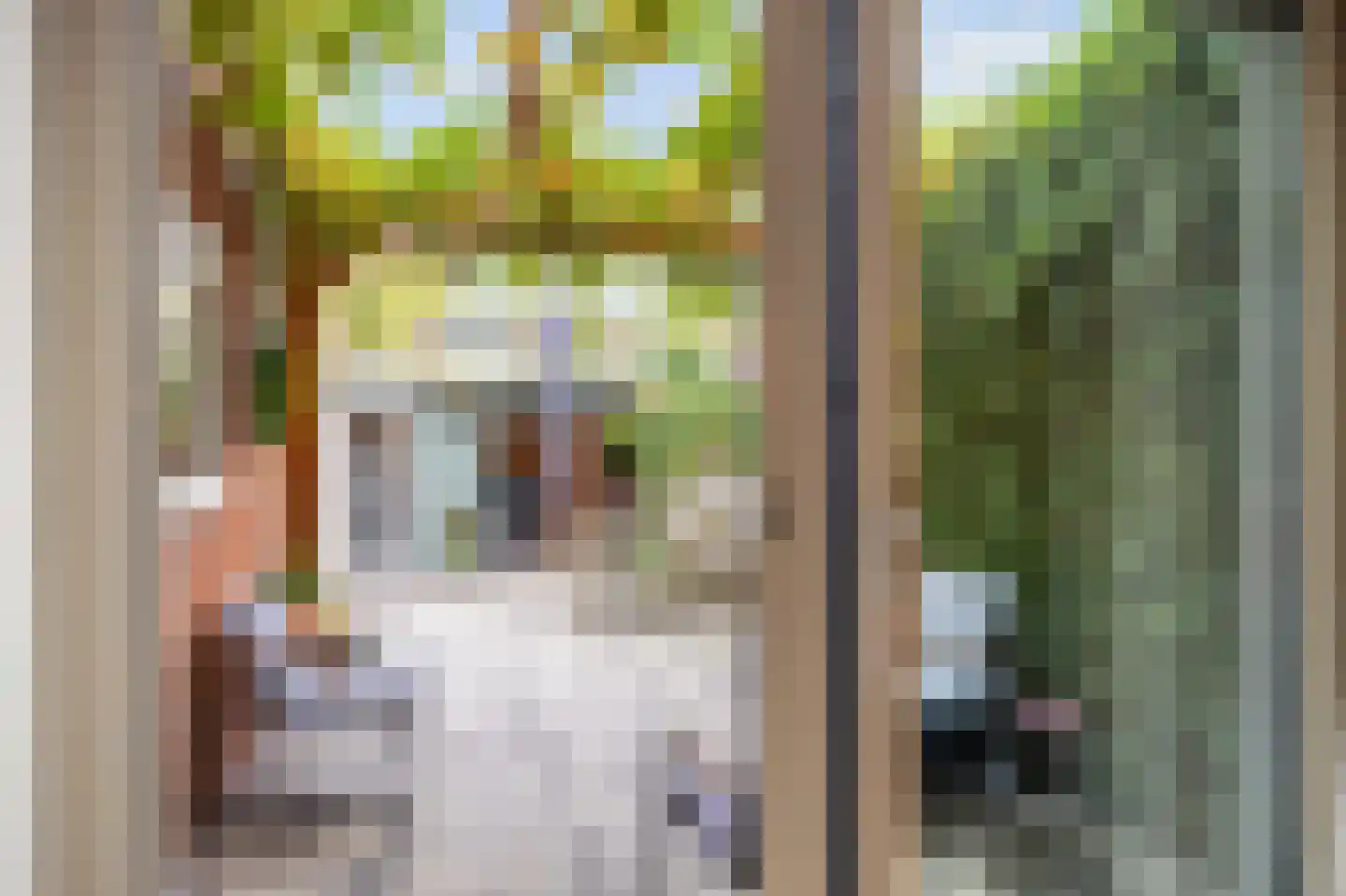 Sibrandaheerd 60 Groningen thumbnail 18