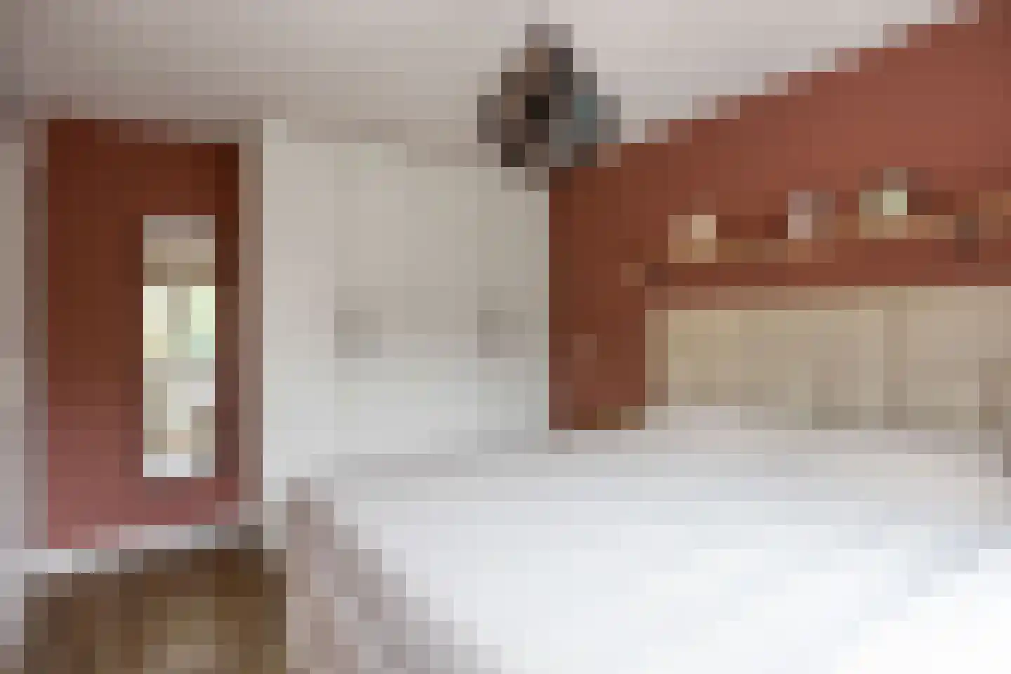 Sibrandaheerd 60 Groningen thumbnail 27