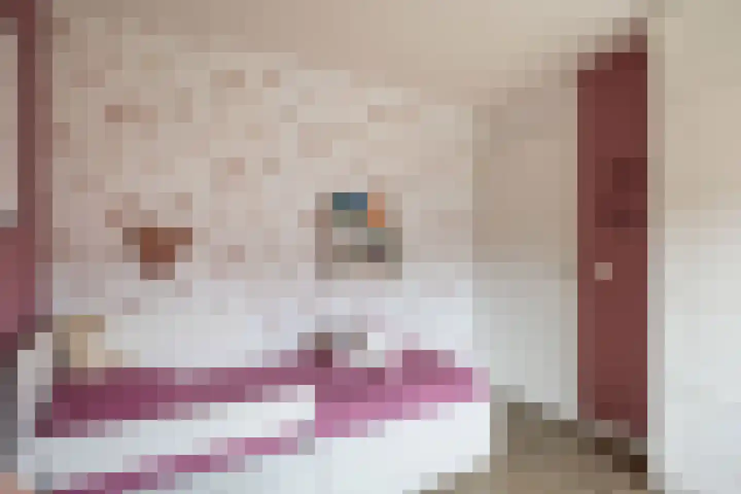 Sibrandaheerd 60 Groningen thumbnail 28